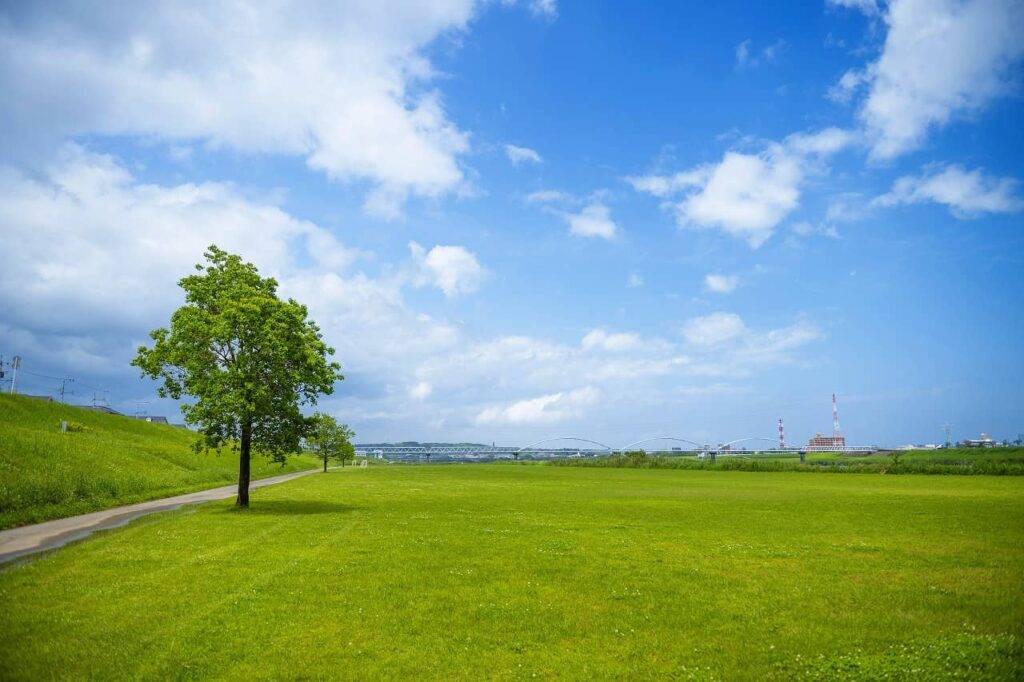 大淀川市民緑地（大塚地区）｜大淀川市民緑地・3公園