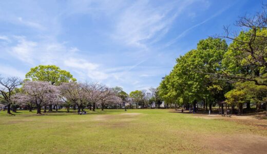 宮崎中央公園（テニスコートを除く）