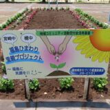 【福島ひまわり里親プロジェクト】が開催されました！