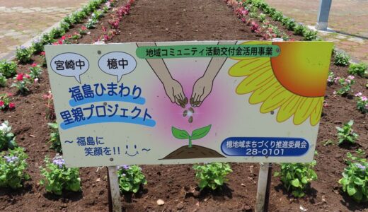 【福島ひまわり里親プロジェクト】が開催されました！