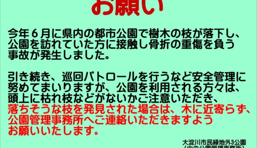 【お願い】頭上の枯れ枝などにご注意ください。
