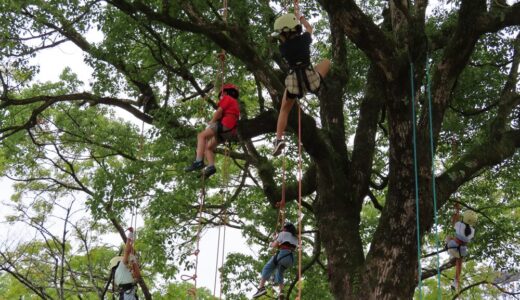 公園で遊ぼう！ツリーイング体験会を開催しました！